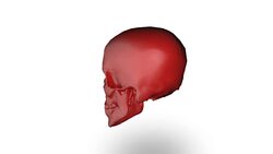 Human skull (loopable) Stock Footage