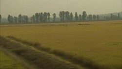 North Korean farmland and countryside News Clip