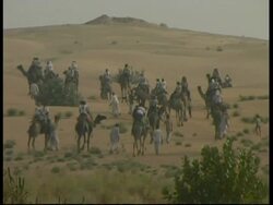 WA camels and riders in the desert, Rajasthan, India Stock Footage