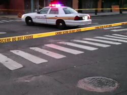Crime Scene Stock Footage