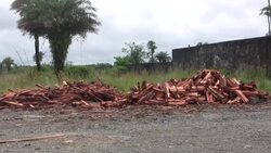Liberian coffin makers in Monrovia say that the Ebola outbreak is ruining their business after the government ordered that all bodies of people killed by the virus must be cremated. (Oct. 23) News Clip
