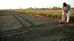 Farmer working in the field using hoe Stock Footage