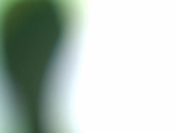 CU FI Alexander the Great bust / Alexandria, Egypt Stock Footage