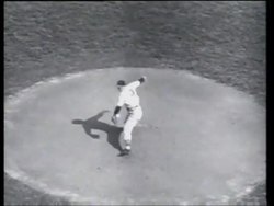 World Series, Drivers, Beauty Show News Clip