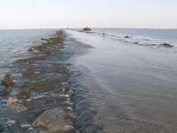 WS Submersible road between french continent and Island of noirmoutier / Noirmoutier, Vendee, France Stock Footage