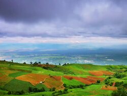 Mountain meadow Stock Footage