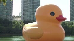 VOICED : Pato de goma gigante llega a Seul News Clip