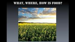 Ellen Gustafson: Obesity + hunger = 1 global food issue Instructional Video