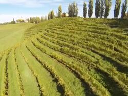 HD: Aerial Shot Of Terraced Vineyards Stock Footage