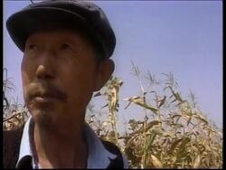 CHINA: PEASANTS CONTINUE TO LIVE IN POVERTY News Clip