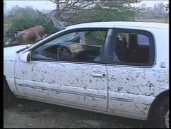 Texas town devastated by tornado News Clip