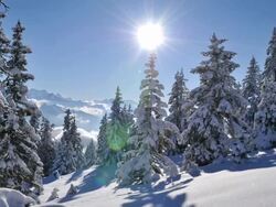 winter, mountain landscape Stock Footage