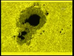New images of sun's magnetic field, presser News Clip