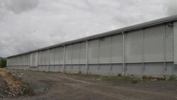 Massages, pedicures and pampering for these cows News Clip