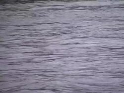 sunset coal boat Stock Footage