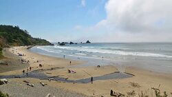 Oregon Coast Stock Footage