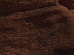 red rock climber Stock Footage