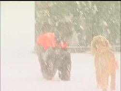 Snow and wind hounded east coast commuters early Wednesday as blizzard warnings from Baltimore to New York City heralded the second major snowstorm in less than a week for the region. But, the bad weather didn''t stop runners in Central Park. News Clip