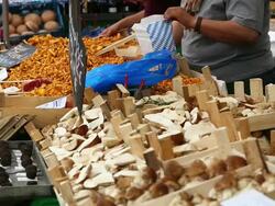 Sell of mushrooms on open market Stock Footage
