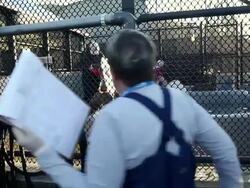 Malnourished Sea Lions Continued To Be Rescued Off California Shores Stock Footage