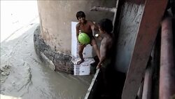 CLEAN : India Nepal monsoon floods leave 160 dead News Clip