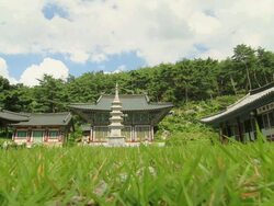 MS Shot of Yongheungsa Temple in summer / Sangju, Gyeongsangbuk-do, South Korea Stock Footage