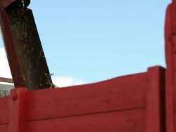 Wheat Processing Stock Footage