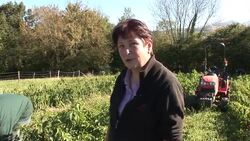 VOICED: French producers pick pecks of powdered pepper News Clip