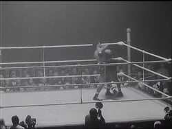 BOXING - POMPEY V DAWSON News Clip