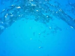 Water animation 3 Stock Footage