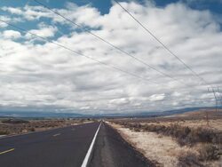 WS Sage bush blowing in wind along road / Zillah, Washington, USA  Stock Footage