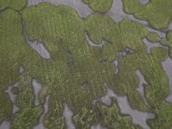 Hwaseong Dinosaur egg fossil site Stock Footage