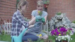 4K: Homosexual Couple Gardening In A Backyard. Stock Footage
