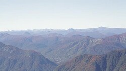 Condor Flying on Mountain Stock Footage