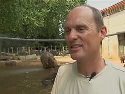 Belgian zoo animals endure high temperatures News Clip