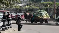 CLEAN : Security forces stand guard News Clip