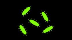 TED-Ed: The chemistry of cookies - Stephanie Warren Instructional Video