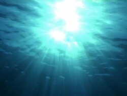 Low angle wide shot sun rays penetrating surface of water / Tahiti, French Plynesia Stock Footage