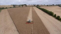 Combine Harvesting Rapeseed, Aerial View Stock Footage