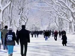February 2013 winter storm, Central Park, NYC Stock Footage