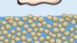 What Happened to This Car? Instructional Video