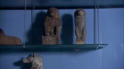 Shelves hold Egyptian statues and animal skeletons. Stock Footage