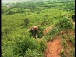 NICARAGUA: ALLEGATIONS OF EXPLOITATION AT GOLD MINE News Clip