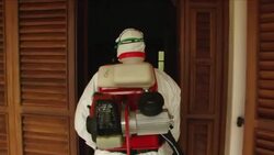 CLEAN : Chikungunya virus spreads through French Antilles News Clip