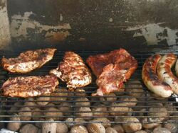 Barbecue Stock Footage