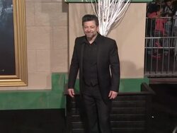 Andy Serkis at 'The Hobbit: The Battle of the Five Armies' Los Angeles Premiere Stock Footage
