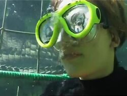 World's first Crocodile Cage Dive gives tourists a thrill News Clip