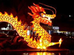 Dragon Stock Footage