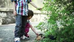 Kids playing with dog Stock Footage