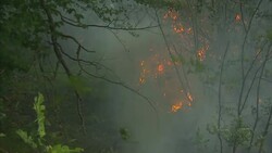 Wildfirews continue to rage in southern Bosnia, threatening villages News Clip